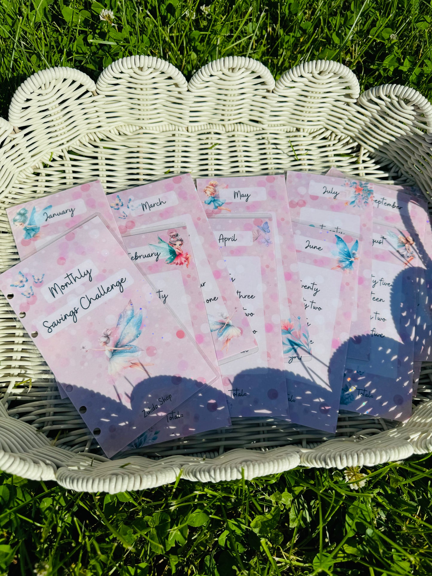 Fairy Monthly Saving Challenge