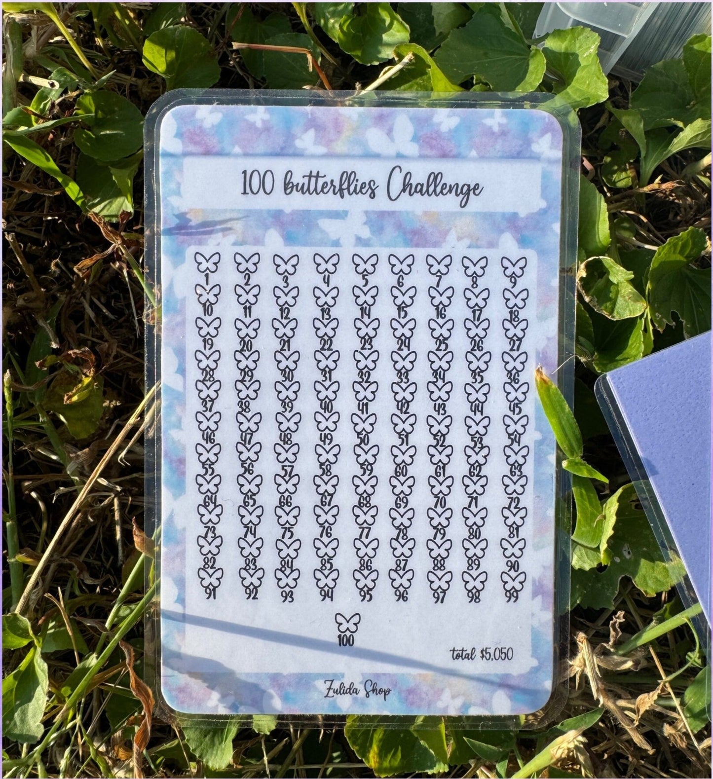 100 Butterflies Challenge Box
