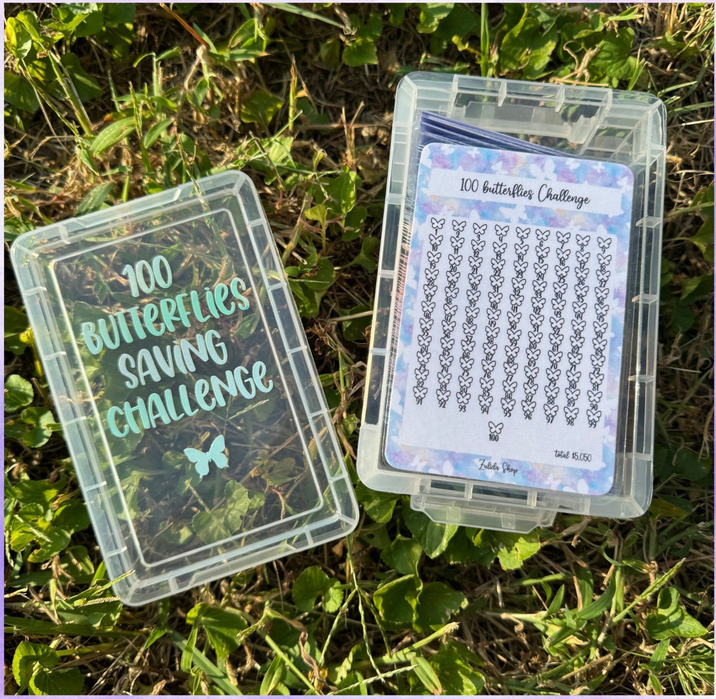 100 Butterflies Challenge Box