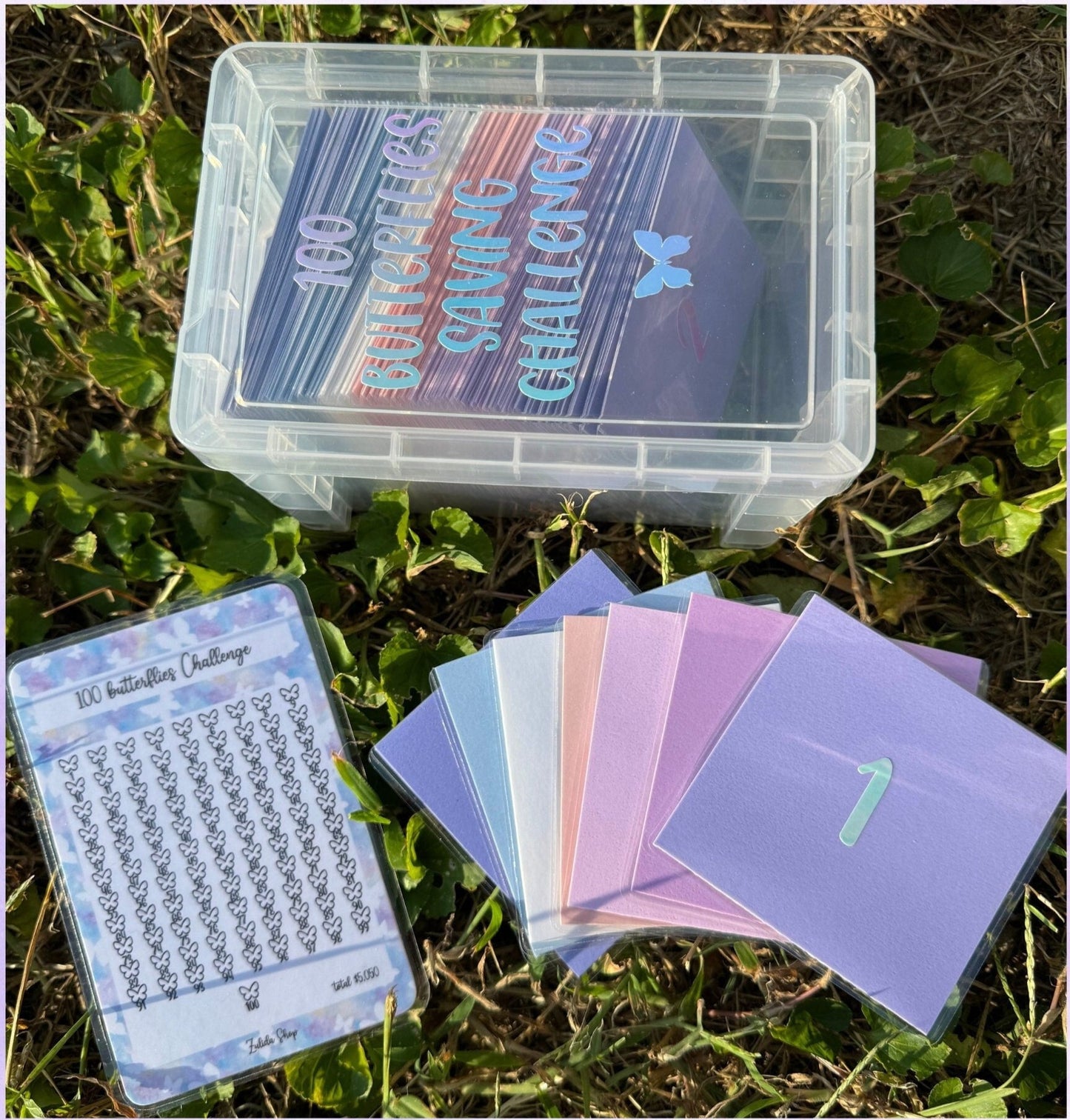 100 Butterflies Challenge Box